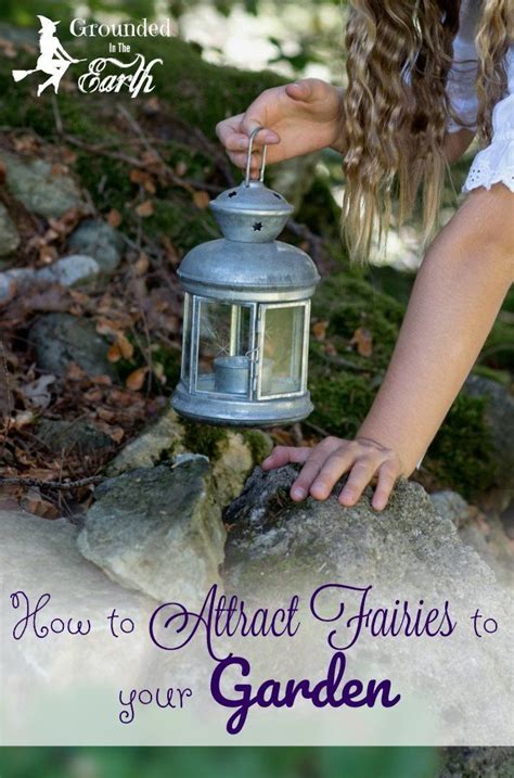 Creating a Solar Altar in Your Indoor Witch Garden
